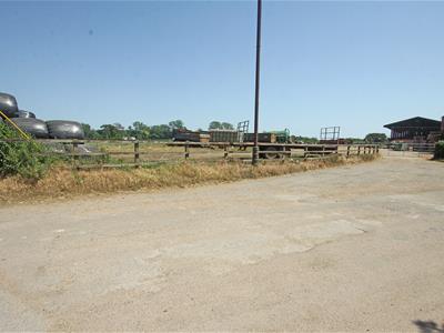 Picture 26